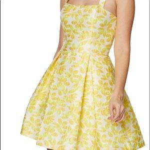 Betsy Johnson brand new dress with tags